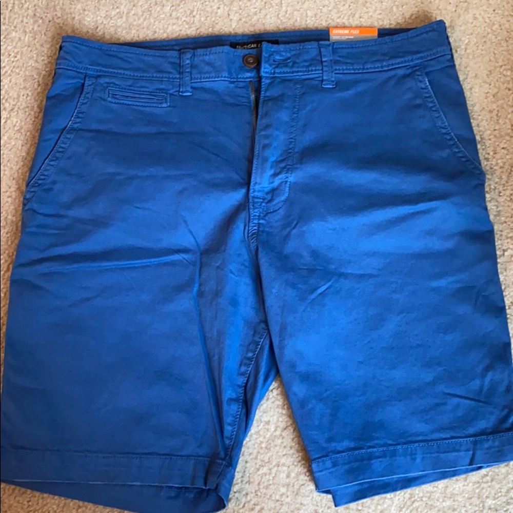 Never Worn with Tags American Eagle Blue Shorts